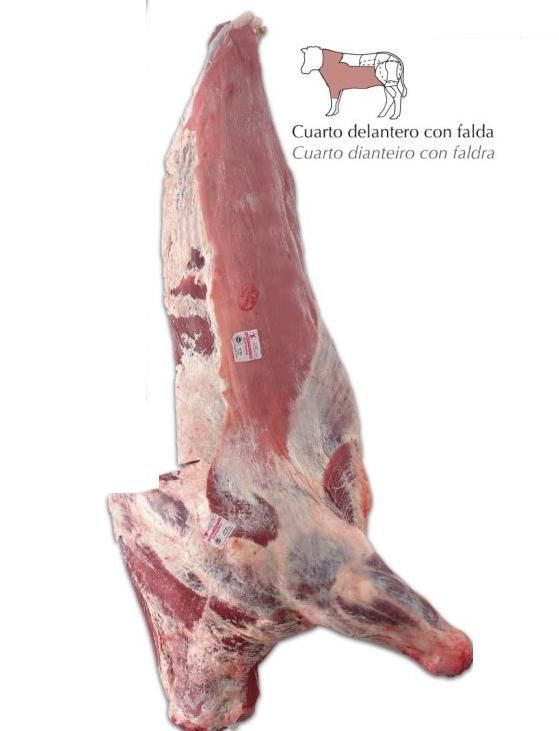 DELANTERO DE TERNERA GALLEGA SUPREMA PIEZA 24KG. APROX